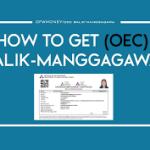 What is a Balik Manggagawa (Returning OFW)? What is a Balik Manggagawa (Returning OFW)?